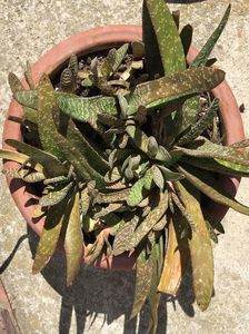 7AB5495E-DA5E-4003-869B-389C3DF94305