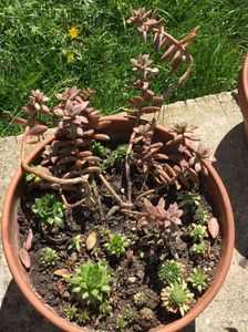 70FBECC7-6A2C-4E1D-9DC6-BA48033B1476