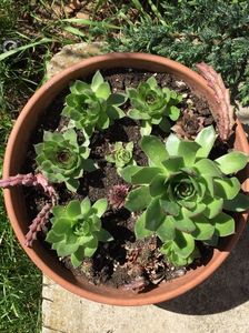 D4D95319-4DDC-4118-A8E8-26BB4609FAFF