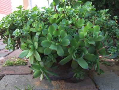 587C4BBD-C2F2-4E6D-9756-97C7012B356C