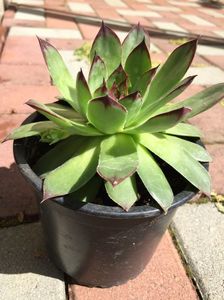 6221CEBD-BB32-4CDC-A33C-F708C404483E