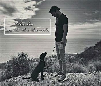 §´¨ɴ̲̃ᴏ̲̃ᴛ̲̃ʜ̲̃ɪ̲̃ɴ̲̃ɢ̲̃ ･ƨǝɿɒqmoɔ.; în lateral cât să-l depisteze. Continuă să râdă de ea, apoi se; mai aproprie câțiva pași de locul unde se afla. „Îmi pare așa rău că n-am filmat toată faza. Ai fost haioasă tare când ai tresărit. Ah... te-a durut?”
