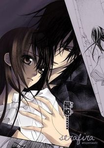 Vampire Knight (21)