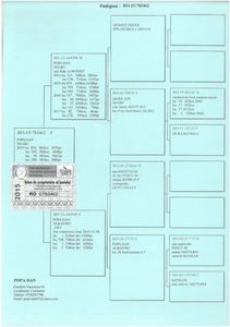 SKM_C224e18041813301_0001