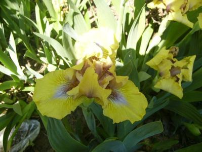 P1350598