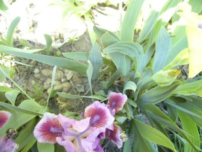 P1350601