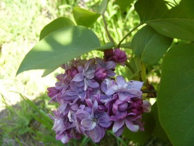 P1350629