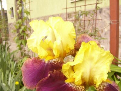 P1350693