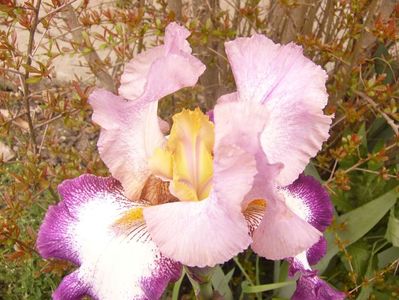 P1350694