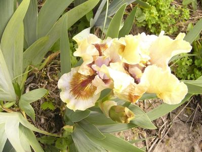 P1350704