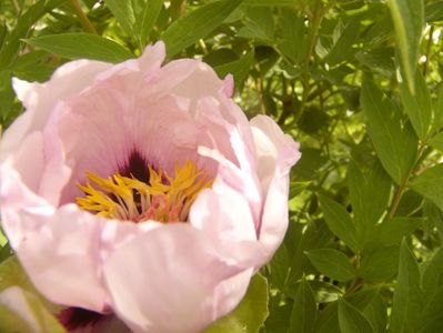 P1350716