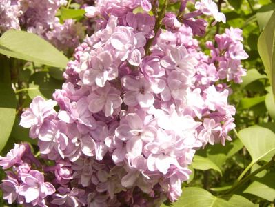 P1350717