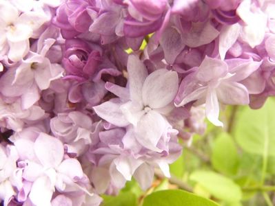 P1350723