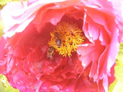 P1350724
