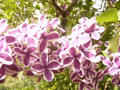 P1350729