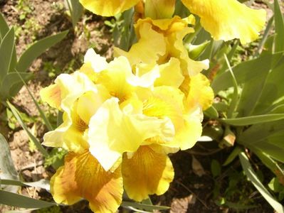 P1350730