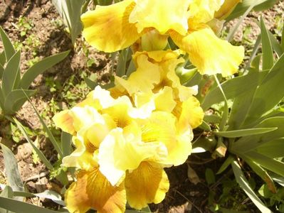 P1350732