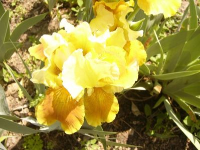 P1350733
