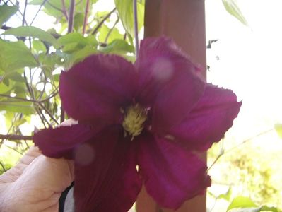 P1350737