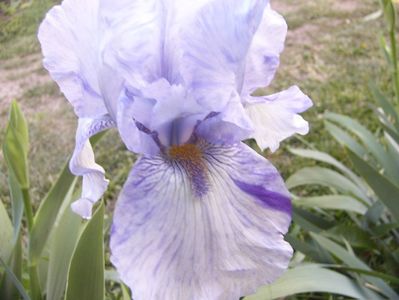 P1350739