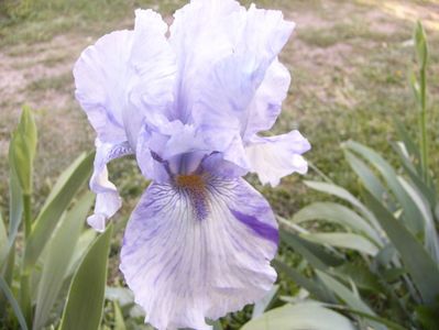 P1350740