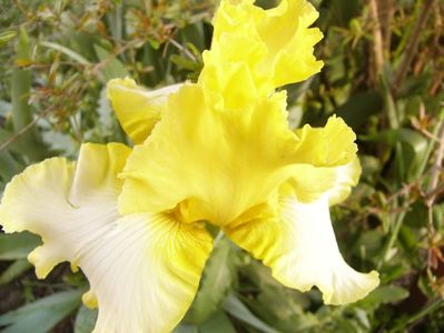 P1350746