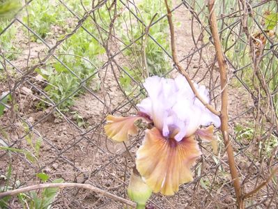 P1350755