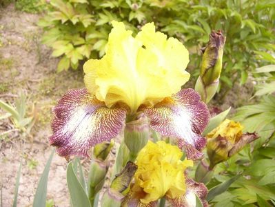 P1350758