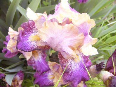 P1350760