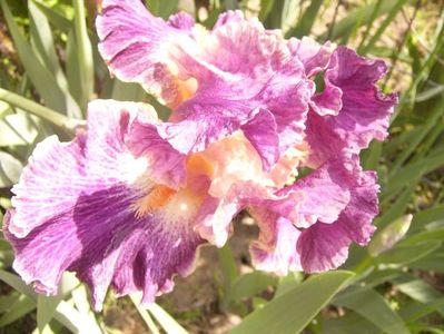 P1350769