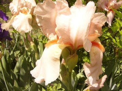 P1350775