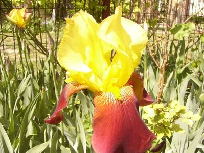 P1350777