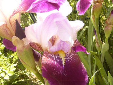 P1350782