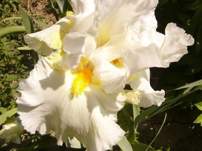 P1350801