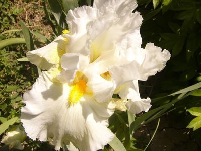 P1350802