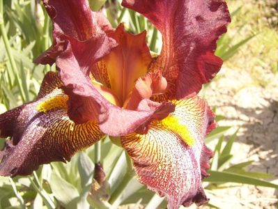 P1350803