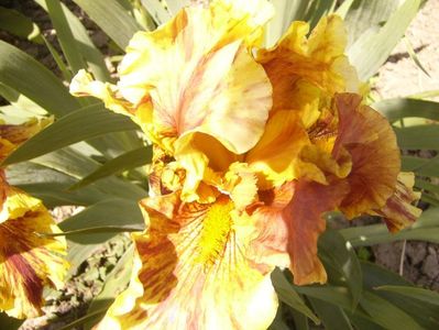 P1350807