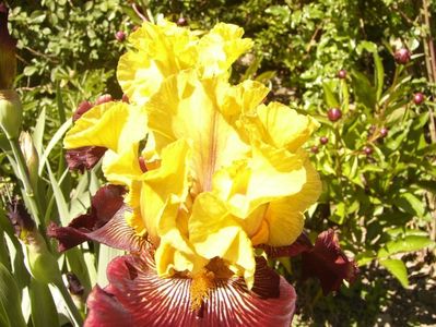 P1350812