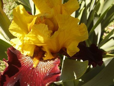 P1350814