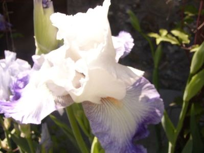 P1350828