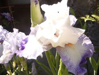P1350831