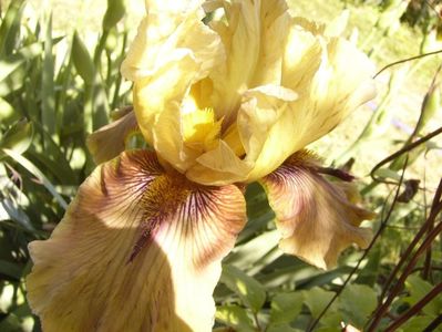 P1350832
