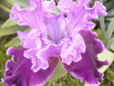 P1350835