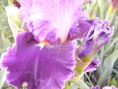 P1350838