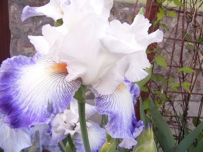 P1350842