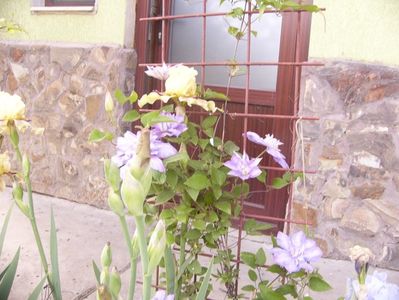 P1350843