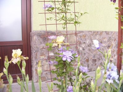 P1350847