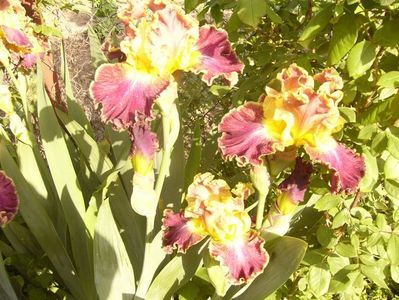 P1350851