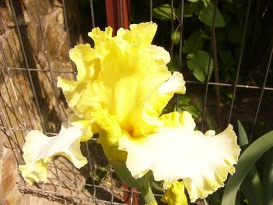 P1350855