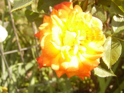 P1350868